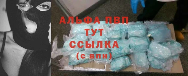 мдпв Новозыбков