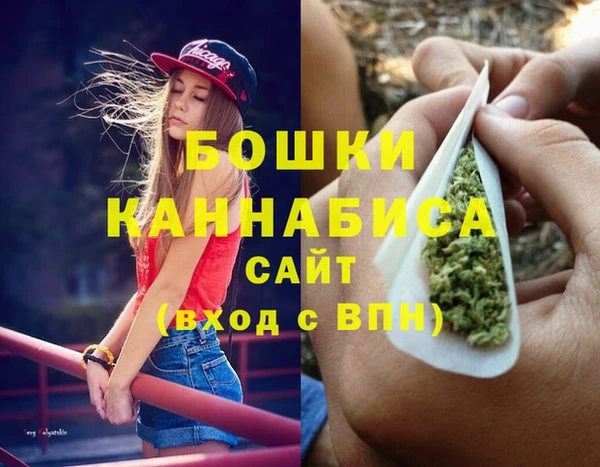мдпв Новозыбков