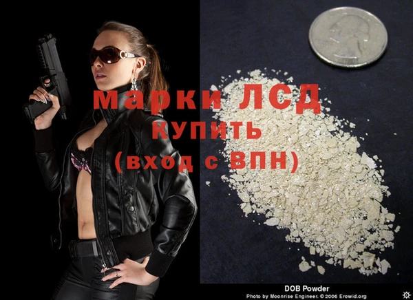 мдпв Новозыбков