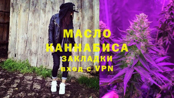 гидра Ельня