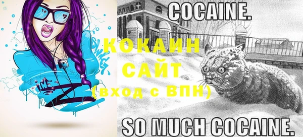 мдпв Новозыбков