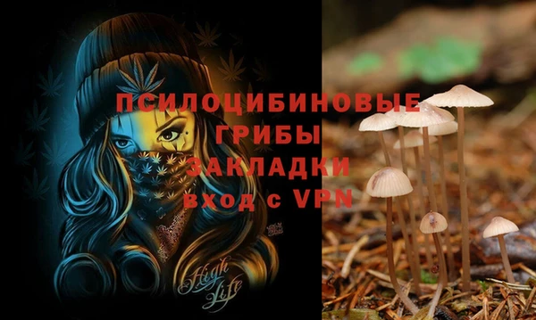 MDMA Premium VHQ Нефтегорск