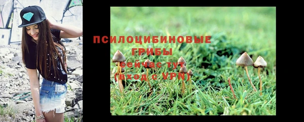 мдпв Новозыбков