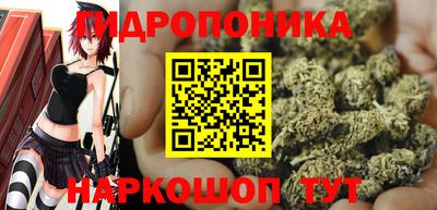 кокс Заводоуковск