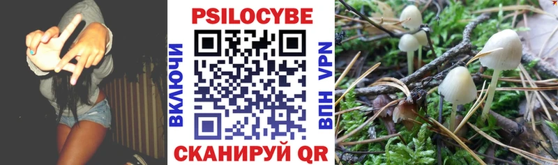 купить наркотик  площадка телеграм  Галлюциногенные грибы GOLDEN TEACHER  Стрежевой 