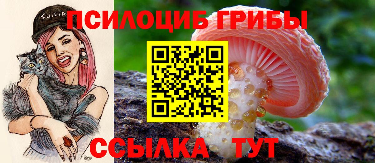 Стрежевой  Галлюциногенные грибы GOLDEN TEACHER  Псилоцибиновые грибы прущие грибы  Вход с VPN 