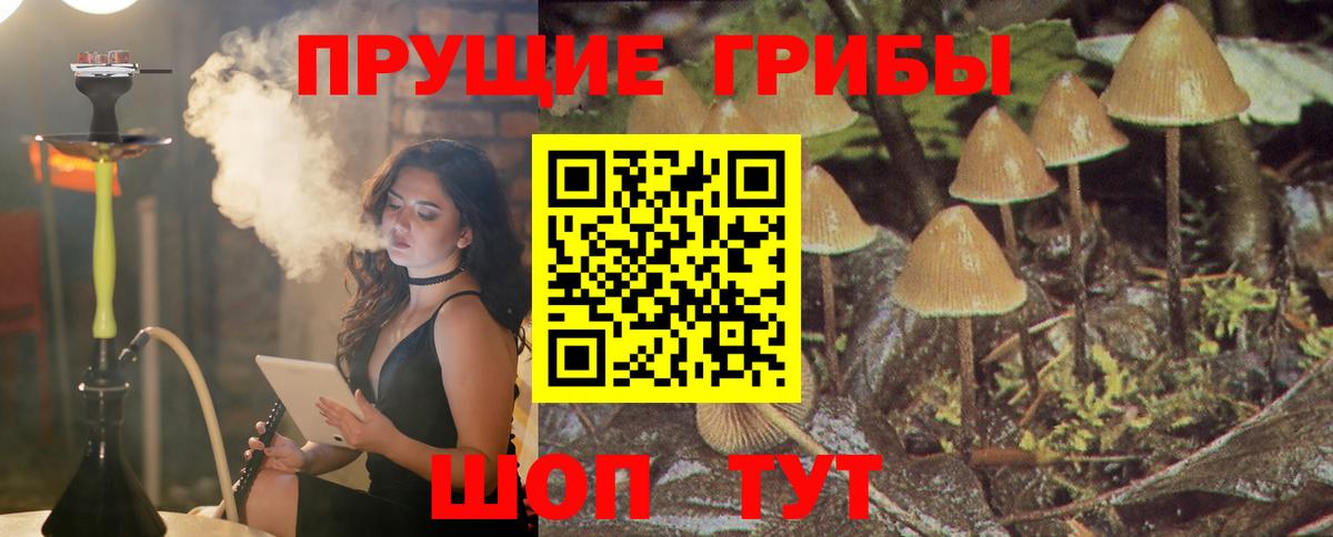 Псилоцибиновые грибы мухоморы Стрежевой